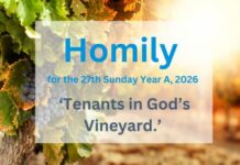 Homily for the 27th Sunday of Year A