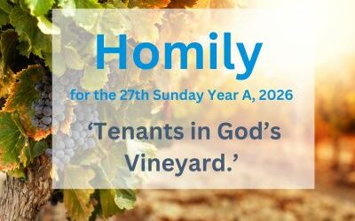 Homily for the 27th Sunday of Year A
