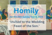 Homily for the 28th Sunday of the Year 2026