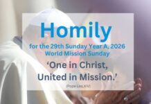 Homily for the 29th Sunday of the Year: 2026