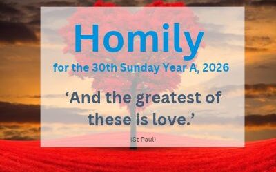 Homily for the 30th Sunday of Year 2026